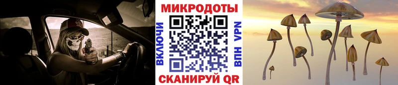 Псилоцибиновые грибы Psilocybine cubensis  hydra   Малая Вишера  цена  
